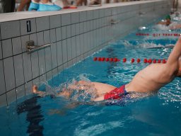 Photos Saison 2024-2025 &raquo; Mini Neuf Cube #4 - Parc Aquatique du Raincy